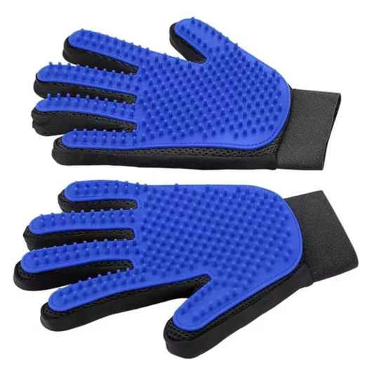 Glove brush